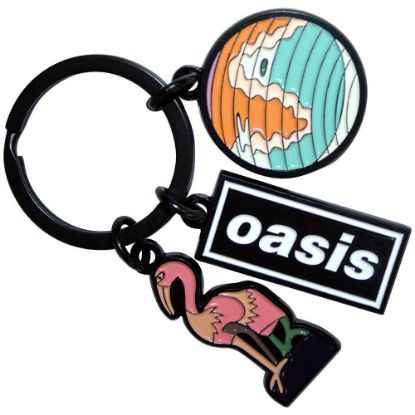 Picture of Oasis Keychain: Charms