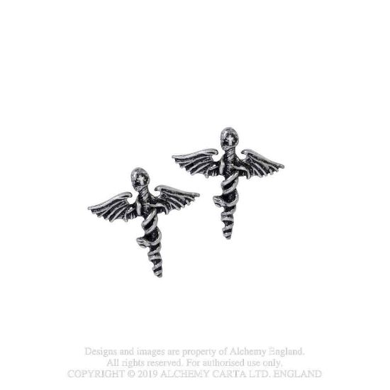 Picture of Motley Crue Earrings: Swords