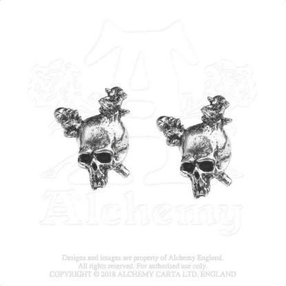 Picture of Metallica Earrings: Damage Inc. Skull