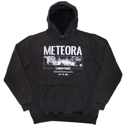 Picture of Linkin Park Unisex Pullover Hoodie: Meteora Wall Art Wash Collection