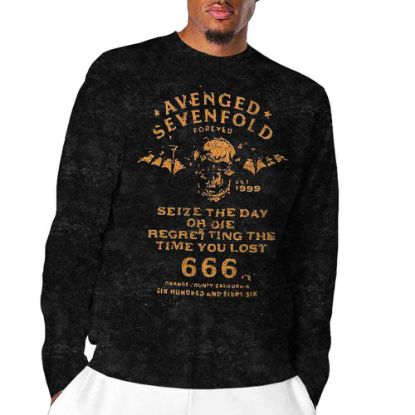 Picture of Avenged Sevenfold Unisex Long Sleeve T-Shirt: Sieze The Day Wash Collection