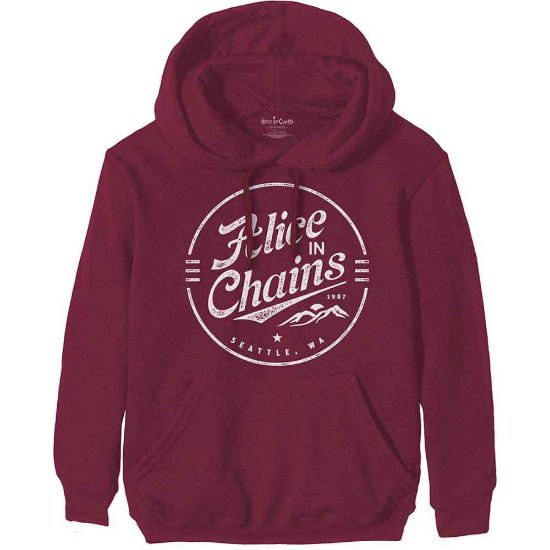 Picture of Alice In Chains Unisex Pullover Hoodie: Circle Emblem