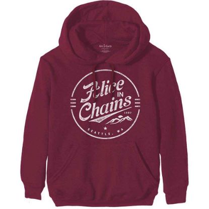 Picture of Alice In Chains Unisex Pullover Hoodie: Circle Emblem (X-Large)