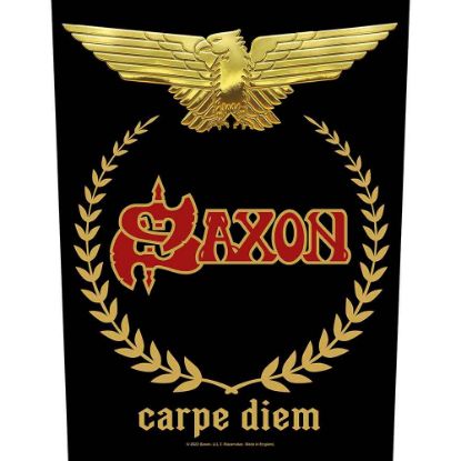 Picture of Saxon Back Patch: Carpe Diem