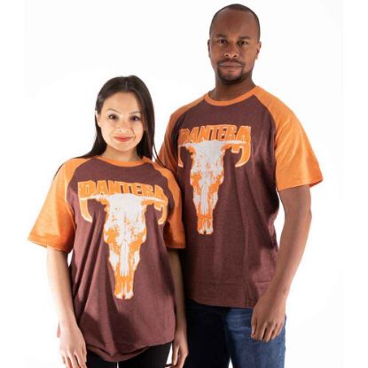 Picture of Pantera Unisex Raglan T-Shirt: Skull