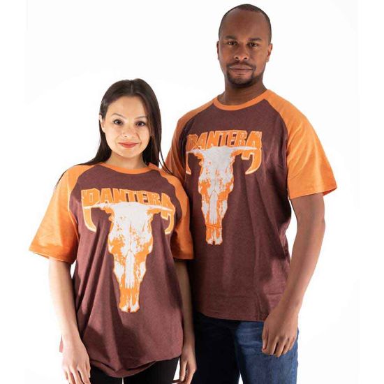 Picture of Pantera Unisex Raglan T-Shirt: Skull