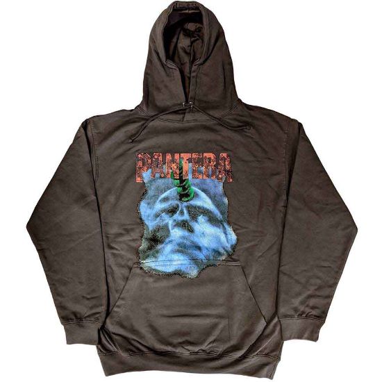 Picture of Pantera Unisex Pullover Hoodie: Far Beyond Driven World Tour