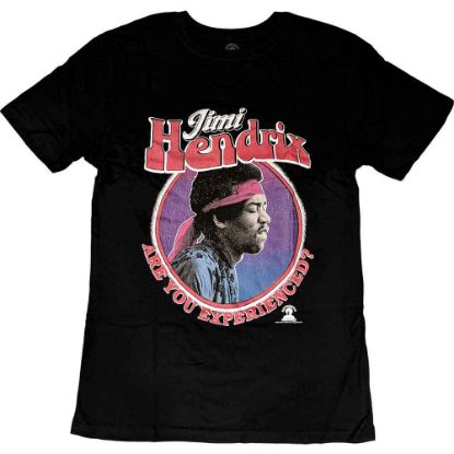 Picture of Jimi Hendrix Unisex T-Shirt: Are You Experienced?