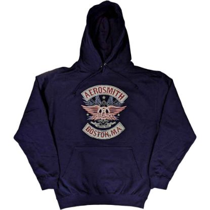 Picture of Aerosmith Unisex Pullover Hoodie: Boston Pride (Small)