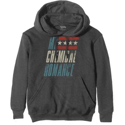 Picture of My Chemical Romance Unisex Pullover Hoodie: Raceway