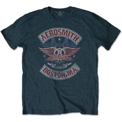 Picture of Aerosmith Unisex T-Shirt: Boston Pride