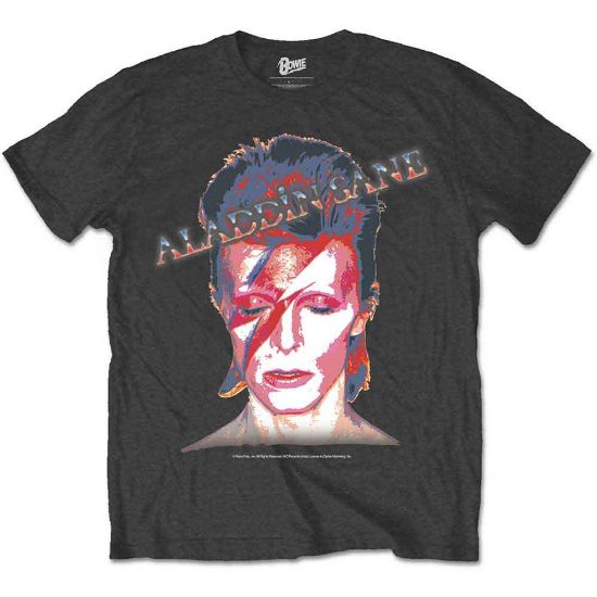 Picture of David Bowie Unisex T-Shirt: Aladdin Sane