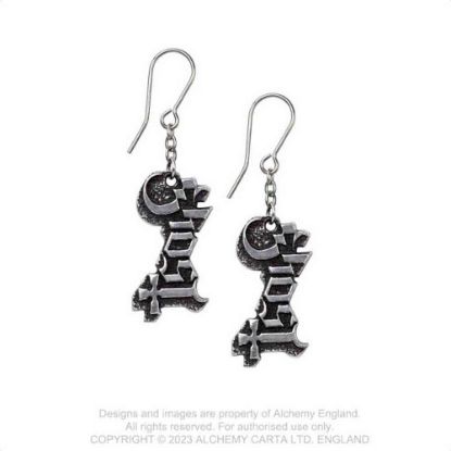 Picture of Ghost Earrings: Logo