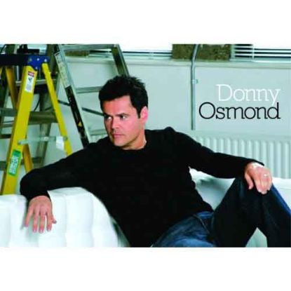 Picture of Donny Osmond Postcard: On Couch (Standard)