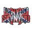 Picture of Lynyrd Skynyrd Pin Badge: Flag Logo