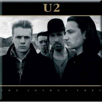 Picture of U2 Fridge Magnet: Joshua Tree