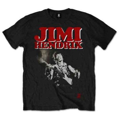 Picture of Jimi Hendrix Unisex T-Shirt: Block Logo