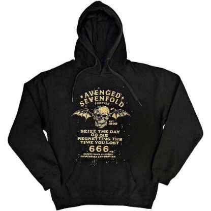 Picture of Avenged Sevenfold Unisex Pullover Hoodie: Seize the Day (Small)