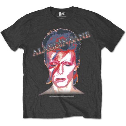 Picture of David Bowie Unisex T-Shirt: Aladdin Sane (X-Large)