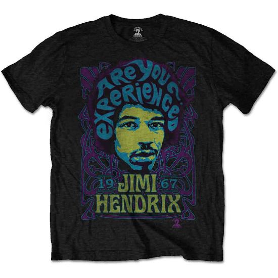 Picture of Jimi Hendrix Unisex T-Shirt: Experienced
