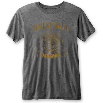 Picture of Ramones Unisex Burnout T-Shirt: Forest Hills