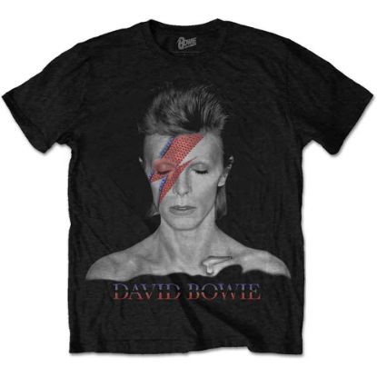 Picture of David Bowie Unisex T-Shirt: Aladdin Sane