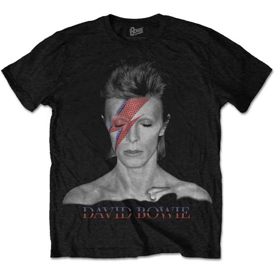 Picture of David Bowie Unisex T-Shirt: Aladdin Sane