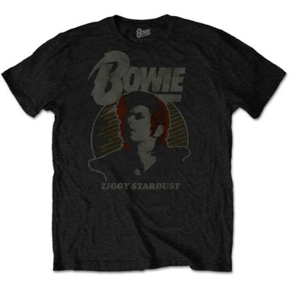 Picture of David Bowie Unisex T-Shirt: Vintage Ziggy