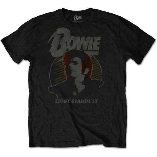 Picture of David Bowie Unisex T-Shirt: Vintage Ziggy