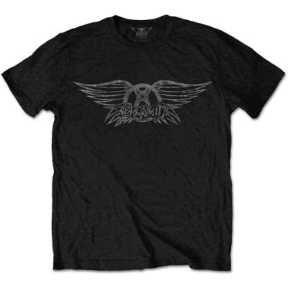 Picture of Aerosmith Unisex T-Shirt: Vintage Logo