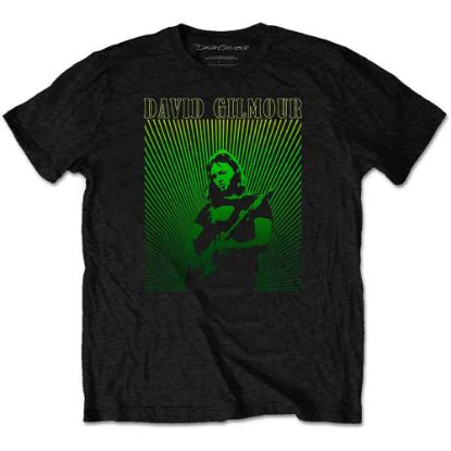 Picture of David Gilmour Unisex T-Shirt: Rays Gradient