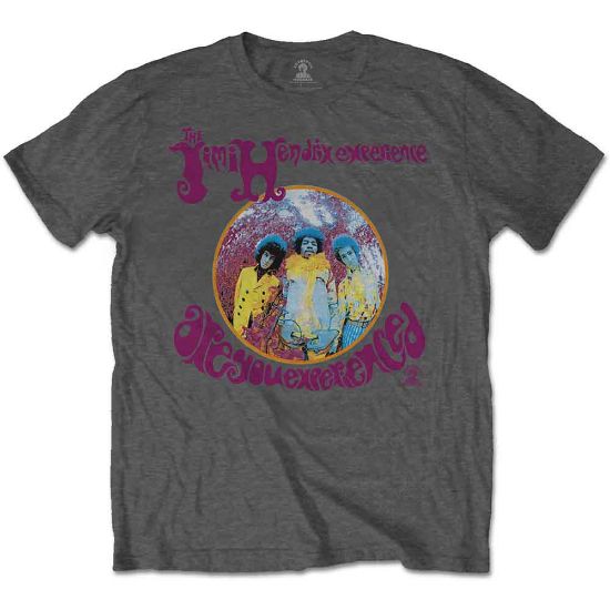 Picture of Jimi Hendrix Unisex T-Shirt: Are You Experienced?