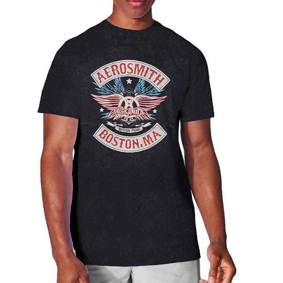 Picture of Aerosmith Unisex T-Shirt: Boston Pride Wash Collection