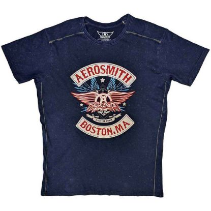 Picture of Aerosmith Unisex T-Shirt: Boston Pride Wash Collection