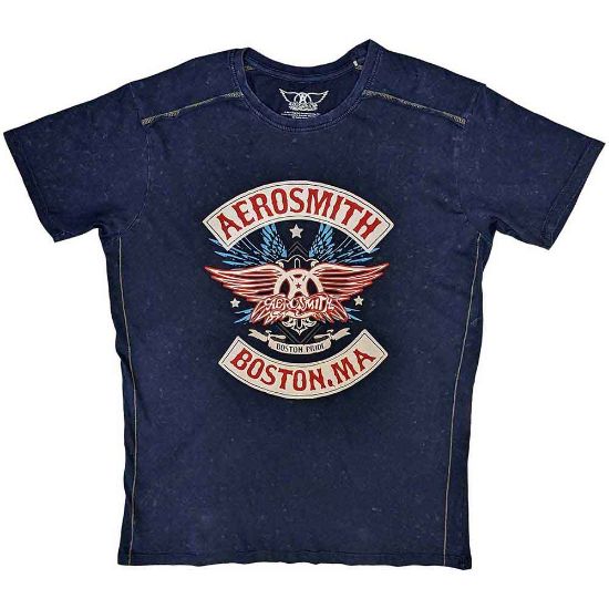 Picture of Aerosmith Unisex T-Shirt: Boston Pride Wash Collection